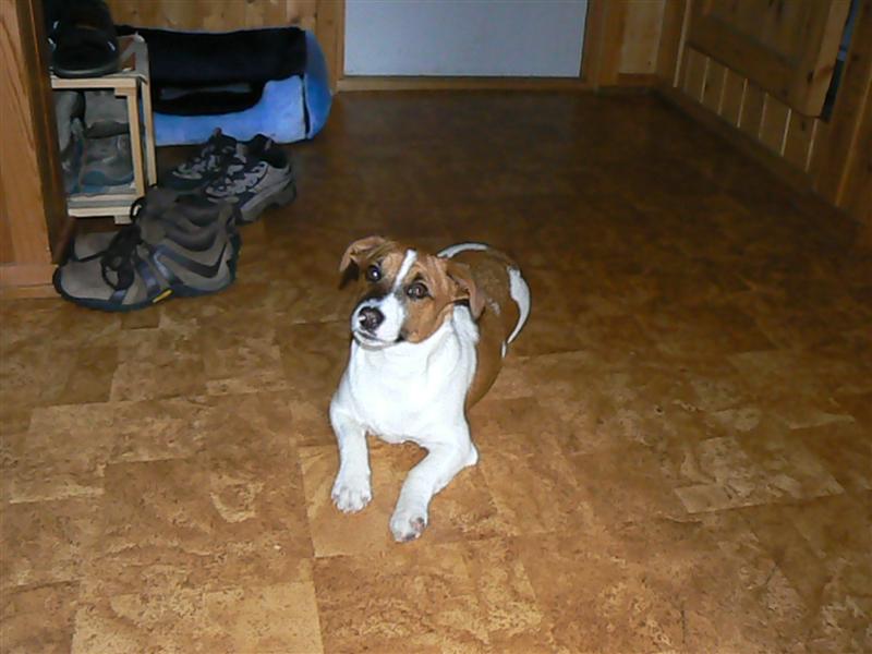 P1020607 (Medium).JPG